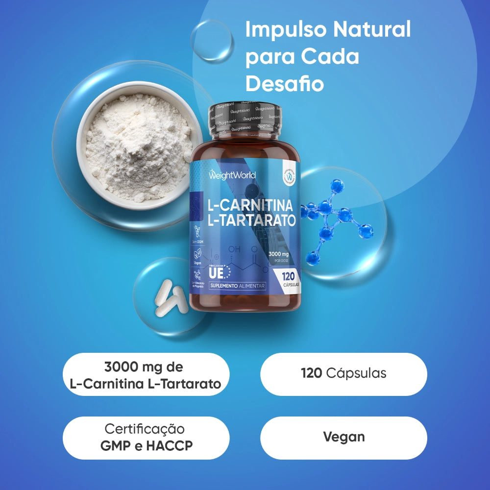 l-carnitine-120-capsules-pt-2