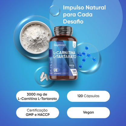 l-carnitine-120-capsules-pt-2