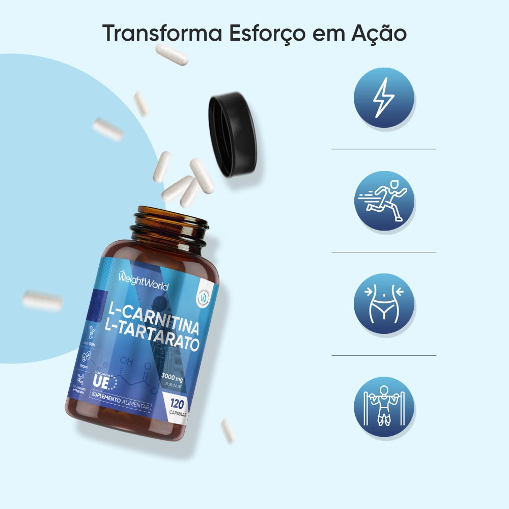 l-carnitine-120-capsules-pt-3