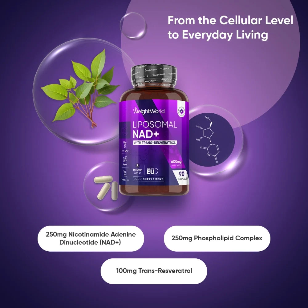 liposomal-nad-with-resveratrol-600mg-pt-2