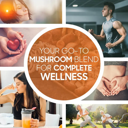 organic-mushroom-pt-5