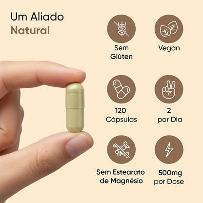 weightworld-pt-ashwagandha-extract-3