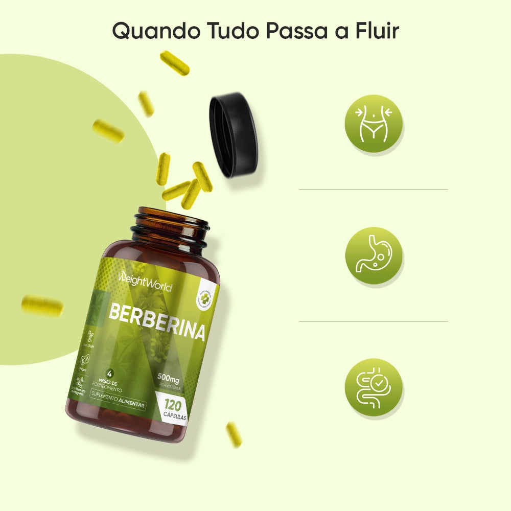 weightworld-pt-berberine-500mg-120-3
