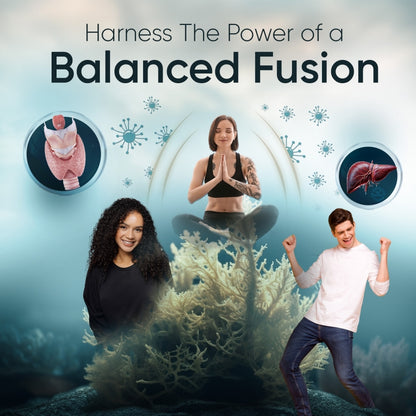 weightworld-pt-irish-sea-moss-120capsules-04