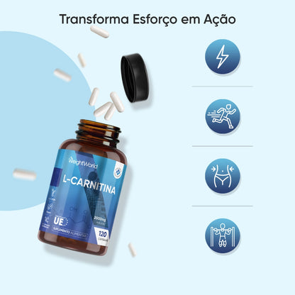 weightworld-pt-l-carnitine-cap-02